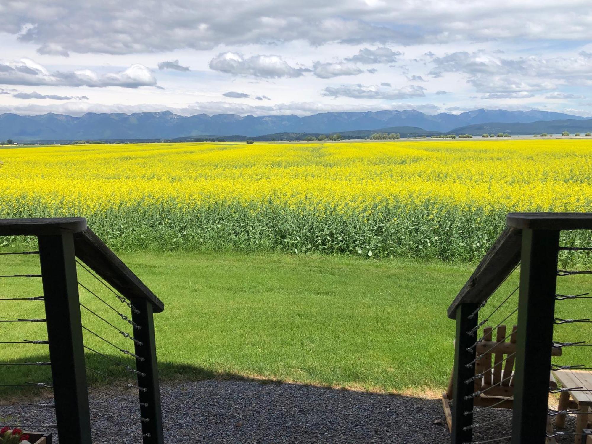 New Cabin With Spectacular Views Of Flathead Lake. Somers Exterior foto